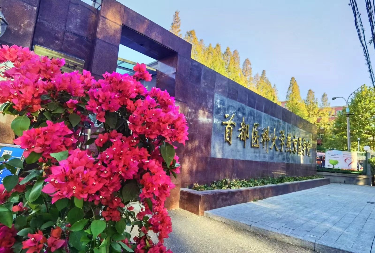 移动端与电脑端入口保持一致