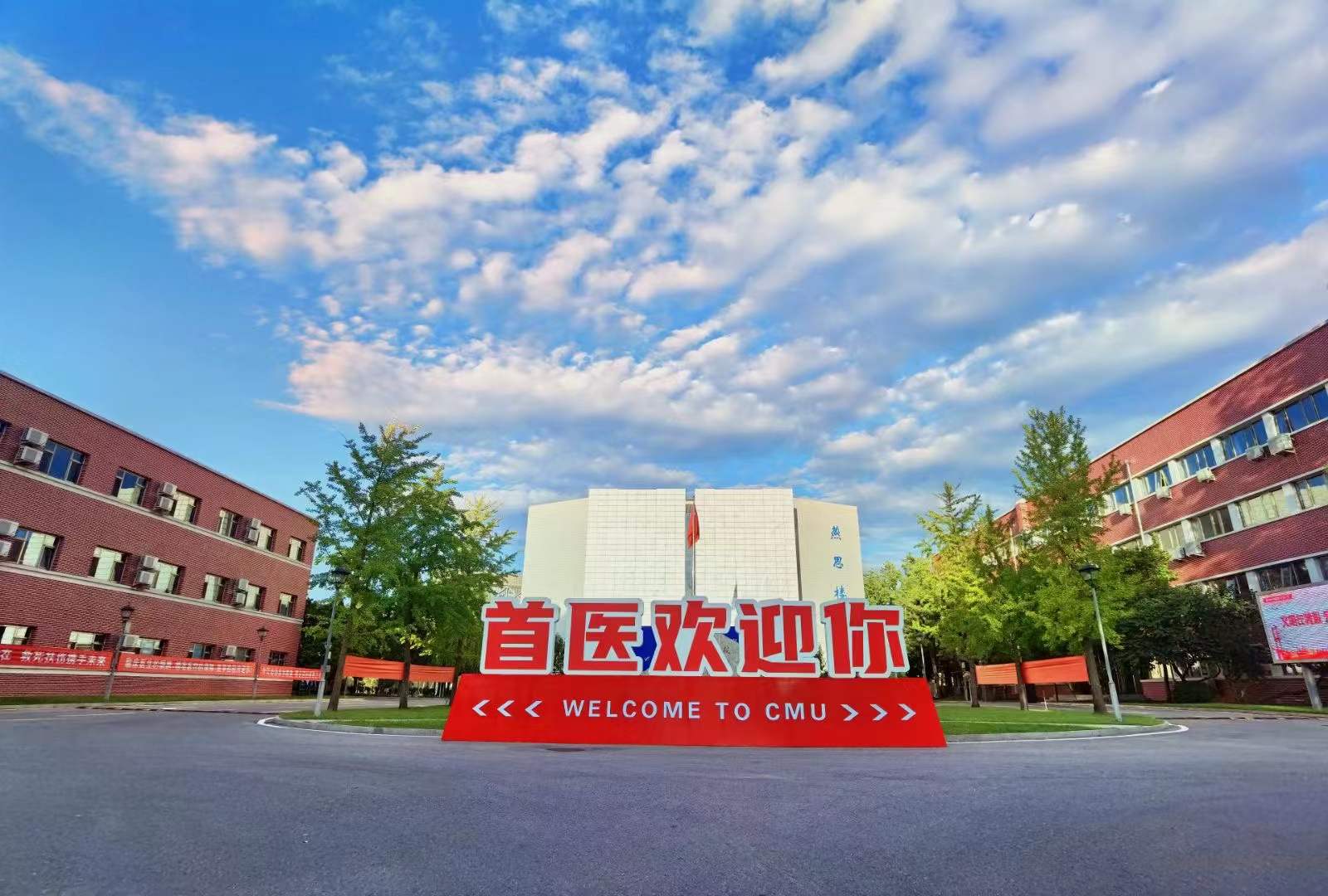 同类内容如某条暂不可用