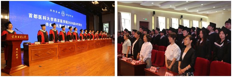od体育官网新手怎么玩全体领导